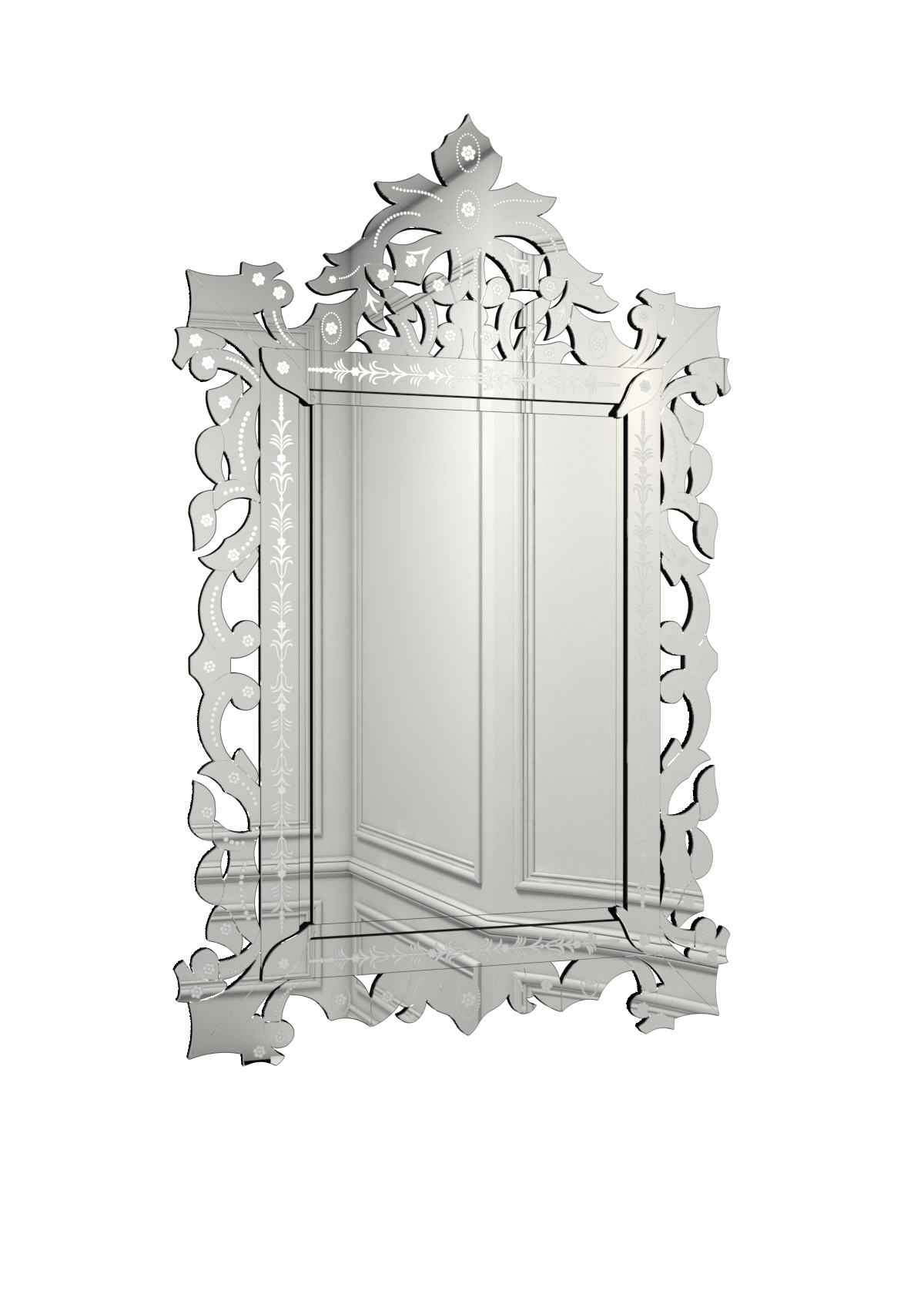 venis mirror